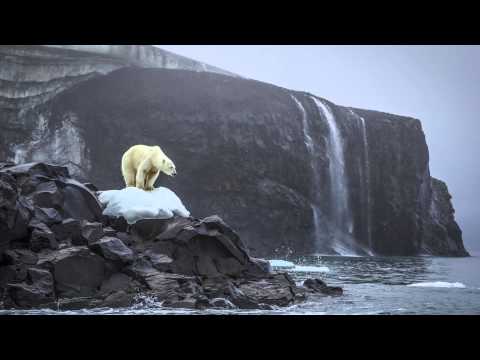 The Amazing Life of a National Geographic Photographer.