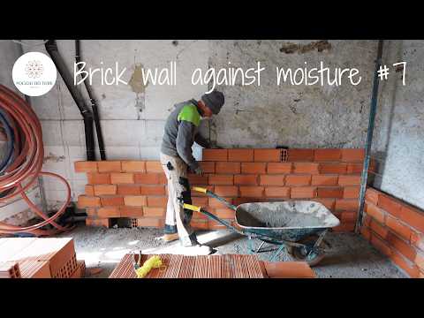 The brick Wall against moisture | Barn renovation week 7