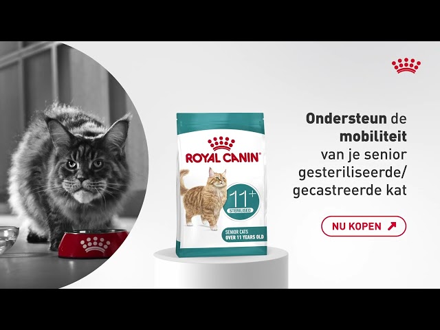 Royal Canin Ageing Sterilised 11+