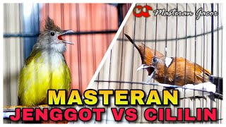 Download lagu MASTERAN WAJIB CUCAK JENGGOT VS CILILIN GACOR TEMBAKAN PANJANG COCOK BUAT ISIAN MURAI BATU, IJO mp3 Download lagu MASTERAN WAJIB CUCAK JENGGOT VS CILILIN GACOR TEMBAKAN PANJANG COCOK BUAT ISIAN MURAI BATU, IJO mp3
