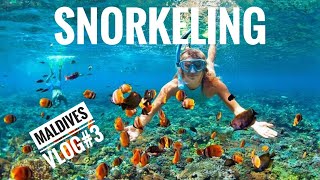 Snorkeling in Maldives with Fishes and Turtles | Sand Bank Visit | Dolphin Watching | Vlog#3