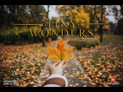 Tiny Wonders: Discovering the Magic of Life | Tripta Bhardwaj