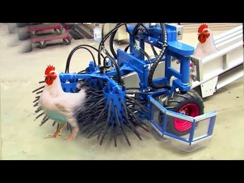 Çiftlik'ten Sofraya! Tam Otomatik Akıllı Makinalarla Şaşırtıcı Tavuk Yakalama Toplama Ve Sonrası..