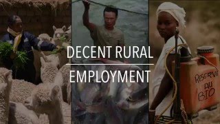 FAO Policy Series: Decent Rural Employment