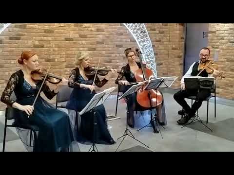 Znám jednu starou zahradu - Šíleně smutná princezna - smyčcové kvarteto