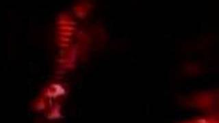 The Pink Spiders &quot;Teenage Graffiti&quot;