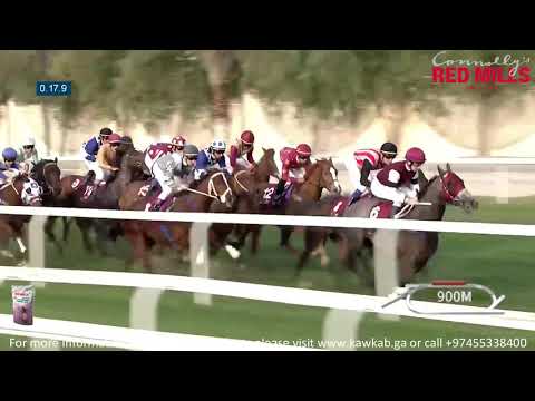 30th Race Meeting   HH The Amir Festival ITM Cup   4