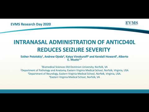 Thumbnail image of video presentation for Intranasal administration of AntiCD40L reduces seizure severity