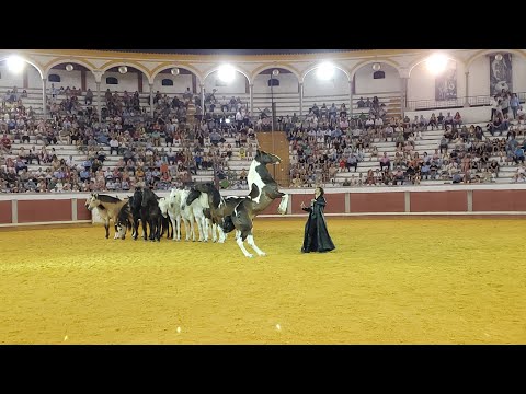 El domador de caballos Paco Martos en el espectáculo ecuestre benéfico de Pozoblanco