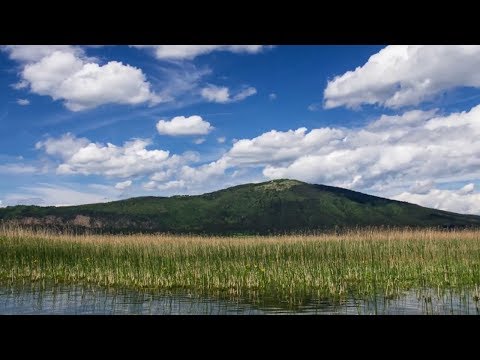 Ansambel Jelen - Gremo na Slivnico