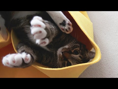 기여븐 내 새끼...