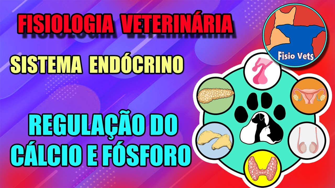 Sistema endócrino - Metabolismo de cálcio e fósforo - Fisiologia veterinária - Aula 5