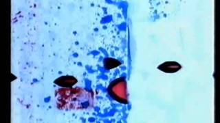 Thomas Brinkmann - Inge 1 vs. Stan Brakhage & Jeff Scher's experimental filmworks