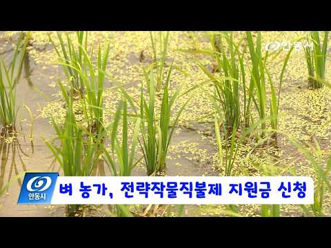 벼 농가, 전략작물직불제 지원금 전국 최대... 6/30까지 신청