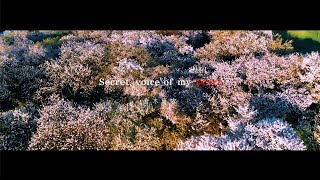 倉木麻衣「Secret, voice of my heart」Lyric Video
