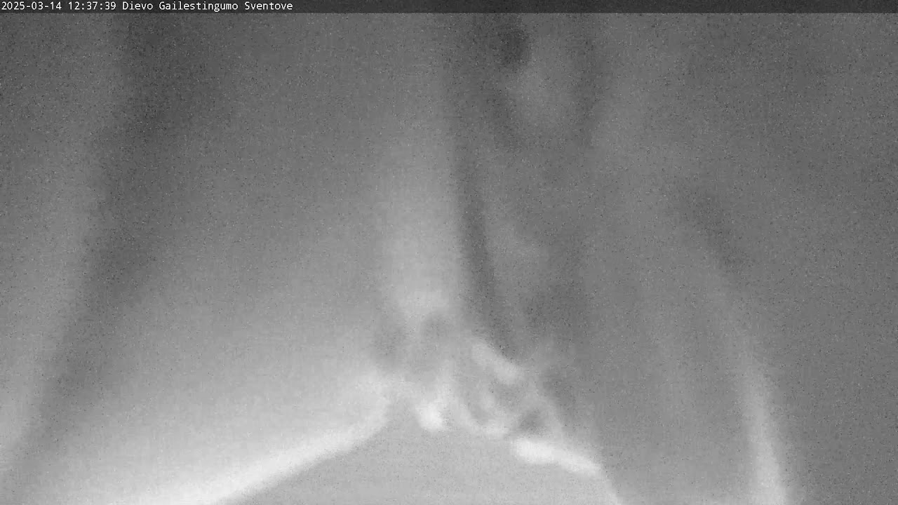 Dievo Gailestingumo Sventove