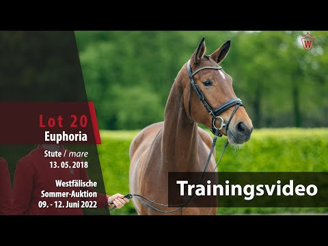 Sommer-Auktion Training Lot 20 Euphoria Stute v. Ehrenstolz - Fidermark