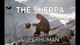 Real life X-men: The superhuman physiology of the Sherpa