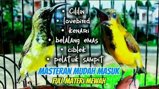 Download lagu masteran sogon full tembakan isian mewah | mudah ditiru untuk burung sogon bahan dan trotol mp3
