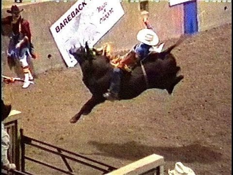 THE PERFECT RIDE Wade Leslie ride Wolfman (100 points)