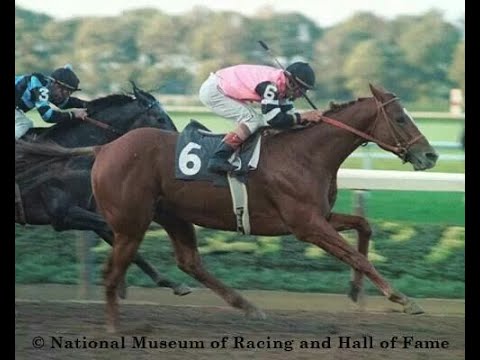 AFFIRMED Jockey Club Gold Cup (G1) 1979