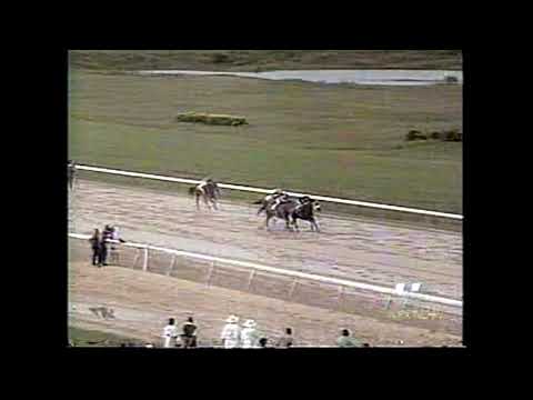 STEFFANY'S - Copa Confraternidad 1998