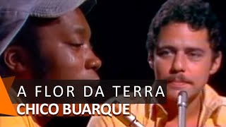 Chico Buarque canta: À Flor da Terra (O que Será?) (DVD Cinema)