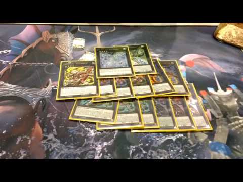 First place ARG Atlanta  Pure Zoo with Justin Singh!