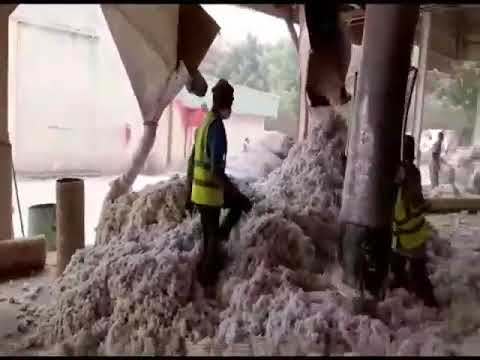 Frontier Africa Reports