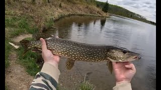 A Couple Hours of Shore Fishin' | Anglin Lake