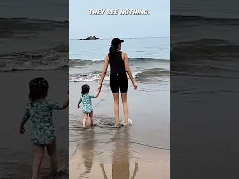 Family Films HORRIFYING Shark Attack in Mexico 👀