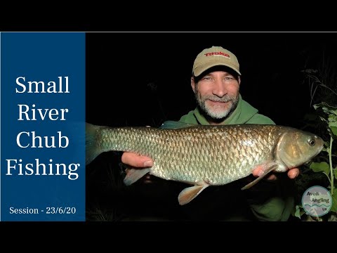 Small River Chub Fishing - 23/6/20 (Video 159)