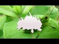 Awkward Silence Crickets - Sound Effect HD (Royalty Free)