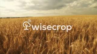 Wisecrop YouTube Video