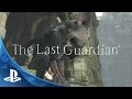 The Last Guardian édition collector - PS4