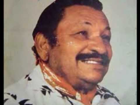 Zito Borborema-Ilha do Marajó