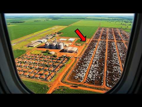 A EVOLUÇÃO da NOVA MAIOR FAZENDA do BRASIL!