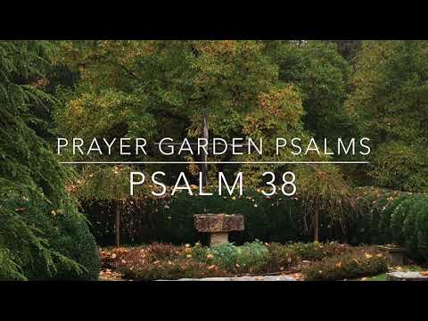 Psalm 38