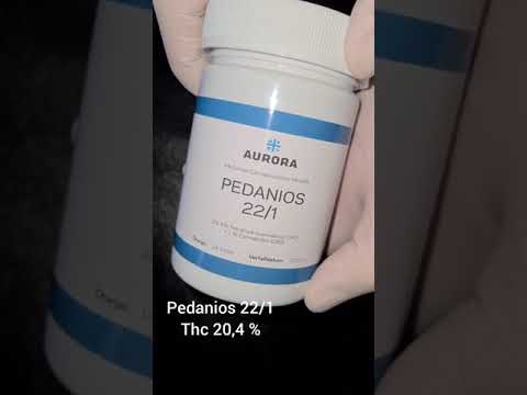Aurora Pedanios 22\1 sativa Medizinisches Cannabis (opening \ review )Apothekengras