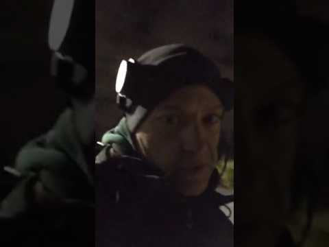 newmanthedog 2016 12 06 19 53 58