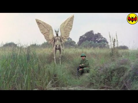 Top 10 Angels Caught on Camera and Spotted in Real Life