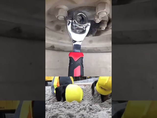 Vídeo relacionado con Bosch Trinquetes/Juego de llaves de vaso de 1/4", 34 piezas (juego de llaves de vaso versátil y de buena calidad para tareas de bricolaje empuñadura ergonómica de agarre suave,portapuntas magnético)