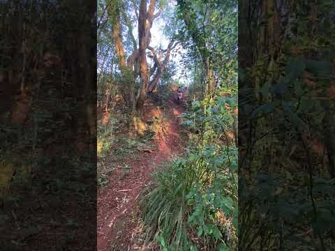 Trilha entre rios do oeste pr