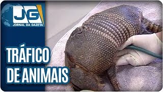 Miniatura do vídeo