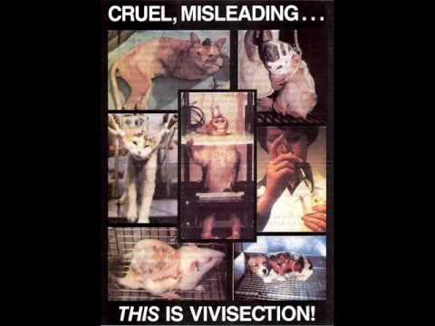 20 Minutes De Chaos - Vivisection