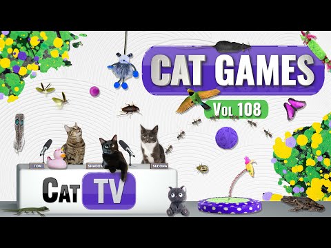 CAT Games | Ultimate Cat TV Compilation Vol 108 | 6 HOURS  🐝🐞🦋🦎🦜🐜🐭🧵
