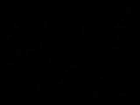 Congo Natty and Tenor Fly @ Dublime. 25-May-2008