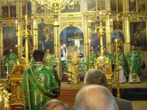 Pași cu Folos - IPS Teofan Caută din Cer la Intarea Domnului în Ierusalim (Floriile)