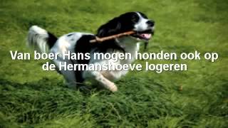 preview picture of video 'Vakantiehuis Texel Honden Welkom'
