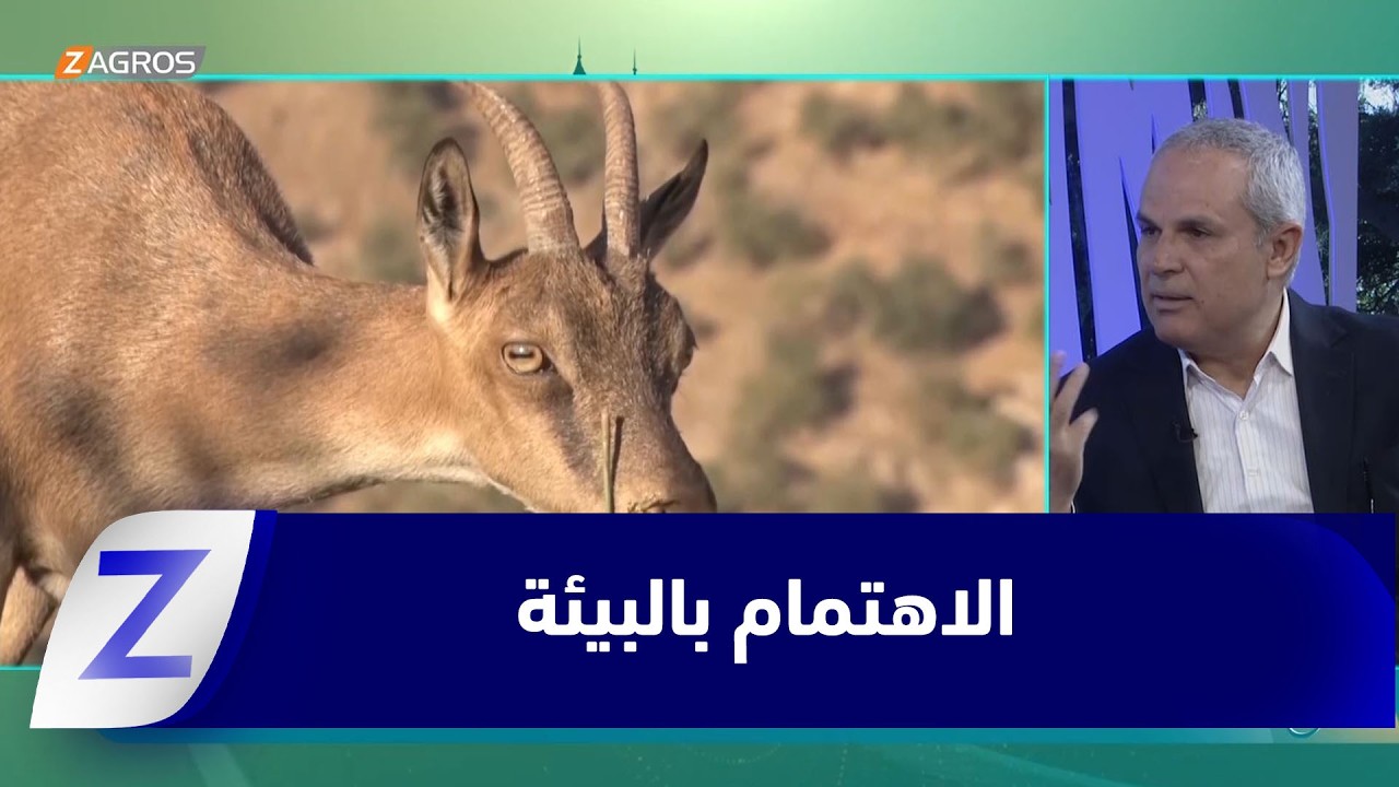فيديو | الاهتمام بالبيئة.. الحفاظ على مصادر الطبيعة مسؤولية إنسانية تضامنية مشتركة